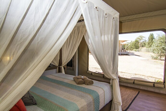 Imagen de la habitación del Hotel Dubbo Rhino Lodge. Foto 25