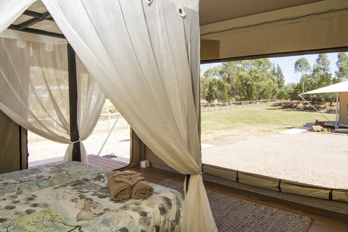 Imagen de la habitación del Hotel Dubbo Rhino Lodge. Foto 33