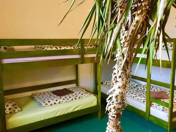 Imagen de la habitación del Hotel Dubky. Foto 17