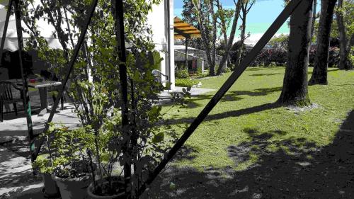 Imagen general del Hotel Ducathotel. Foto 4