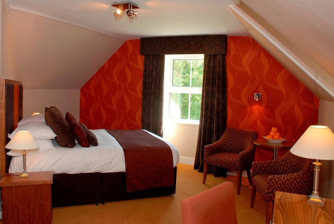 Imagen de la habitación del Hotel Ducks Inn. Foto 4