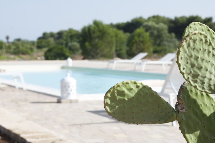 Imagen de la piscina del Hotel Due Passi Dal Pizzo. Foto 19