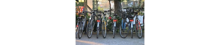 Imagen general del Hotel Due Pavoni. Foto 2