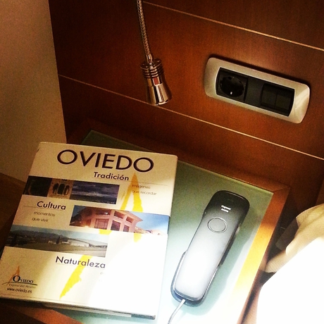 Imagen de la habitación del Hotel Duerming Longoria Plaza. Foto 8