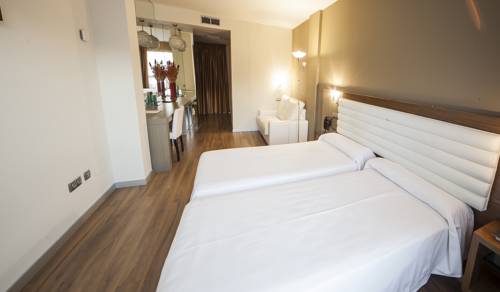 Imagen de la habitación del Hotel Duero. Foto 8