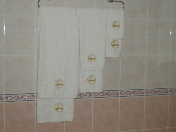 Imagen de la habitación del Hotel Duet Plus, &Uacute;zhgorod. Foto 14