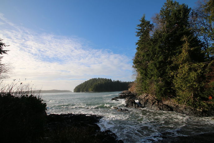 Imagen de la habitación del Hotel Duffin Cove Oceanfront Lodging. Foto 11