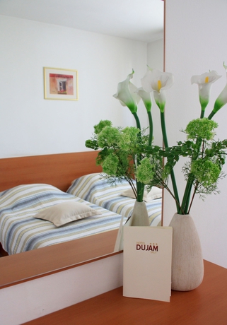 Imagen de la habitación del Hotel Dujam. Foto 7