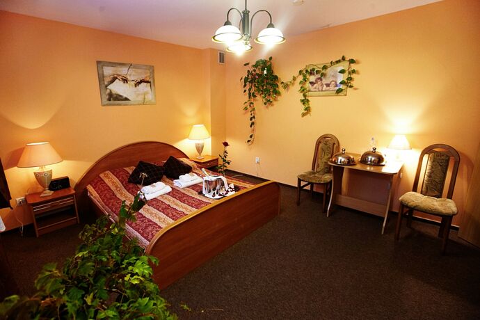 Imagen de la habitación del Hotel Dukat, Biala Podlaska. Foto 12