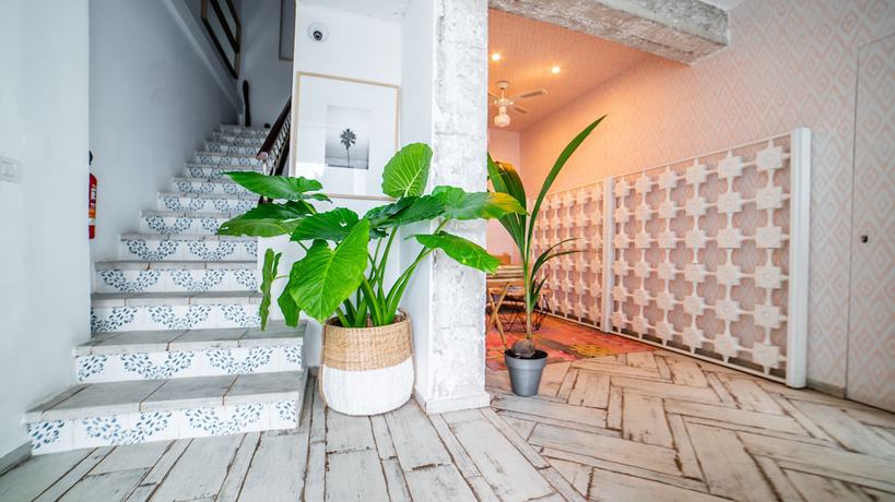 Imagen de los interiores del Hotel Duna Boutique. Foto 15