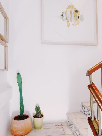 Imagen de los interiores del Hotel Duna Boutique. Foto 17