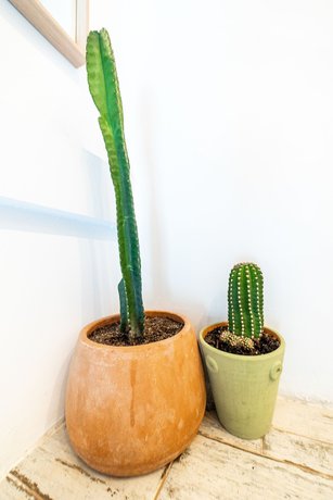 Imagen de los interiores del Hotel Duna Boutique. Foto 19