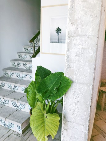 Imagen de los interiores del Hotel Duna Boutique. Foto 20