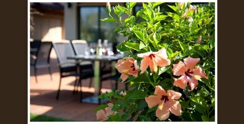 Imagen general del Hotel Duna Garden. Foto 3