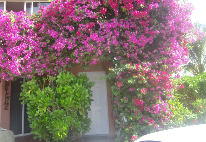 Imagen de los exteriores del Hotel Dundee Bay Villas. Foto 8