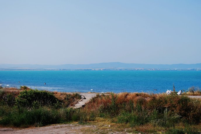 Imagen de la habitación del Hotel Dune Beach Boutique. Foto 11