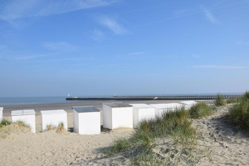 Imagen general del Hotel Dune Nieuwpoort. Foto 14