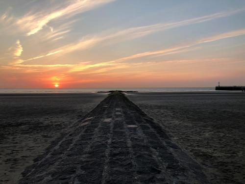 Imagen general del Hotel Dune Nieuwpoort. Foto 15