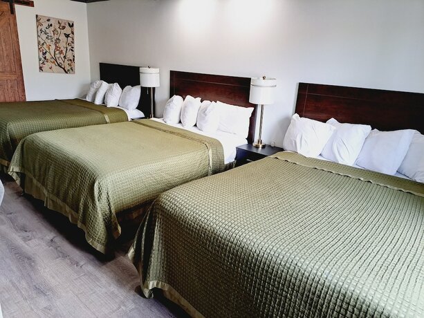 Imagen de la habitación del Hotel Dunes Motel. Foto 19