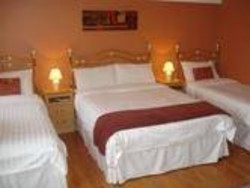 Imagen de la habitación del Hotel Dungimmon House. Foto 9