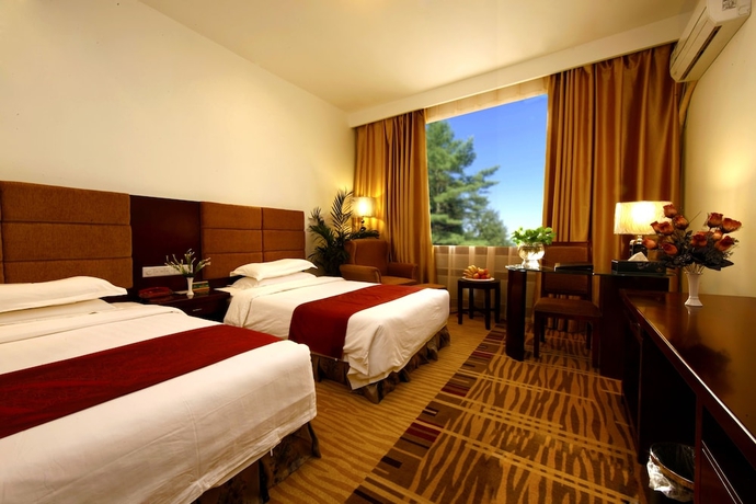 Imagen de la habitación del Hotel Dunhuang Golden Leaf. Foto 5