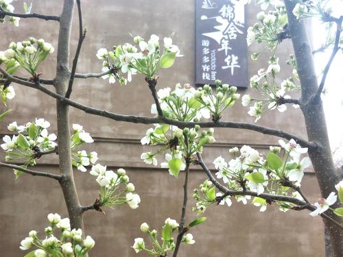 Imagen general del Hotel Dunhuang Jinshe Times Yododo Inn. Foto 4