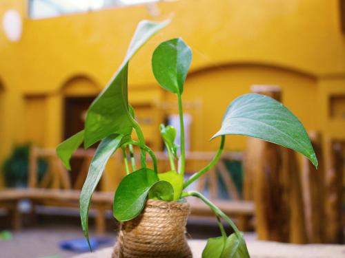Imagen de la habitación del Hotel Dunhuang Silk Yododo Inn. Foto 10