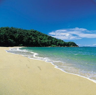 Imagen de los exteriores del Hotel Dunk Island Resort. Foto 8
