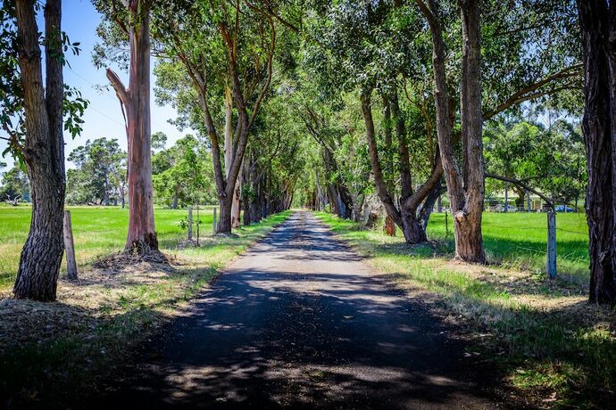 Imagen general del Hotel Dunsborough Rail Carriages and Farm Cottages. Foto 1