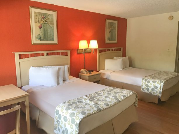Imagen de la habitación del Hotel Duo Boutique, Kissimmee. Foto 4