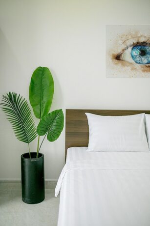 Imagen de la habitación del Hotel Duong Chau Boutique. Foto 29