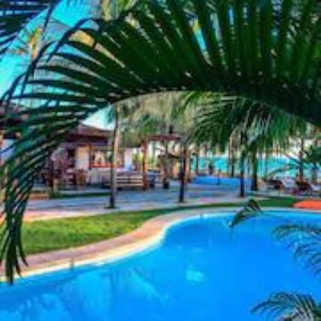 Imagen de la piscina del Hotel Duro Beach. Foto 18