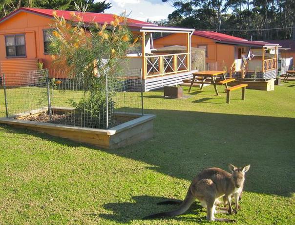 Imagen general del Hotel Durras Lake North Holiday Park. Foto 1