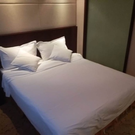 Imagen de la habitación del Hotel Dushanzi - Urumqi. Foto 11