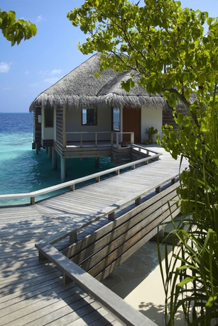 Imagen de la habitación del Hotel Dusit Thani Maldives. Foto 5