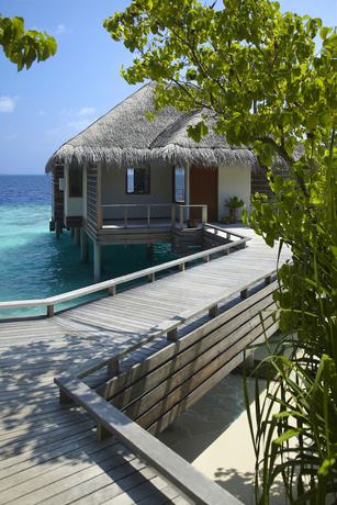 Imagen de la habitación del Hotel Dusit Thani Maldives. Foto 4