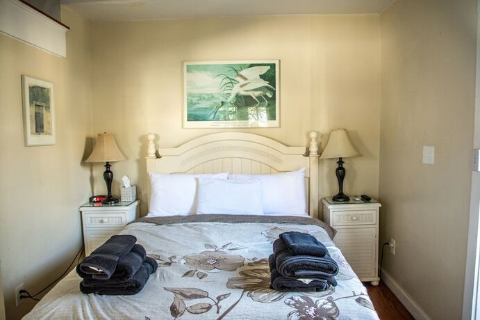 Imagen general del Hotel Duval House. Foto 3