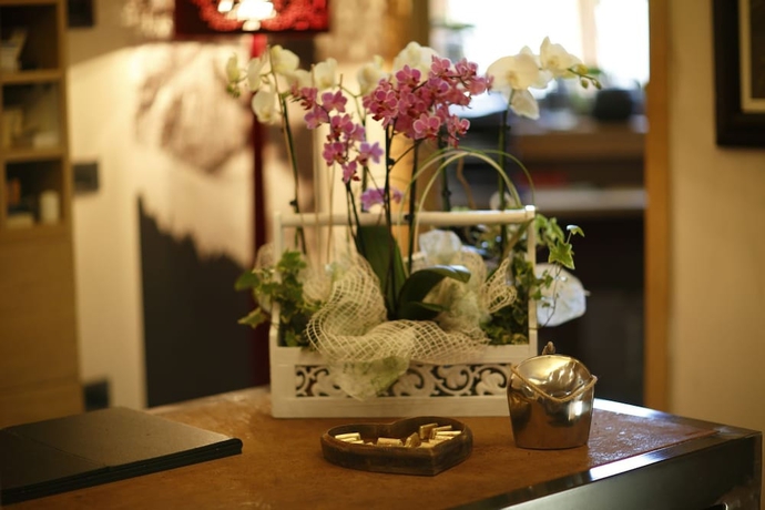 Imagen de los interiores del Hotel Dv Chalet Boutique Hotel And Spa. Foto 18