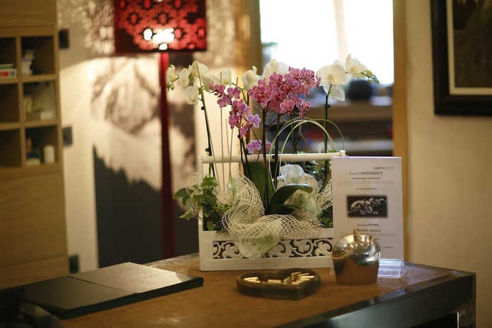 Imagen de los interiores del Hotel Dv Chalet Boutique Hotel And Spa. Foto 19
