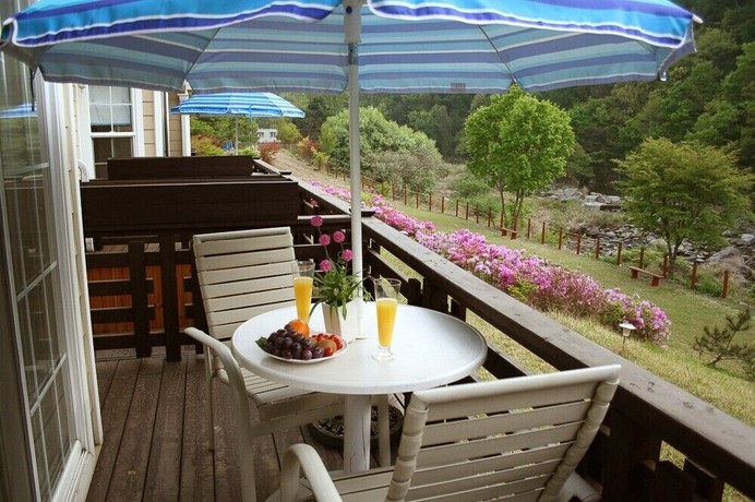 Imagen de la habitación del Hotel Dvor Pension. Foto 10