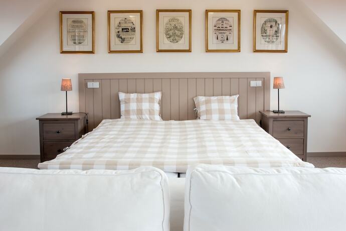 Imagen de la habitación del Hotel Dvůr Hoffmeister. Foto 12