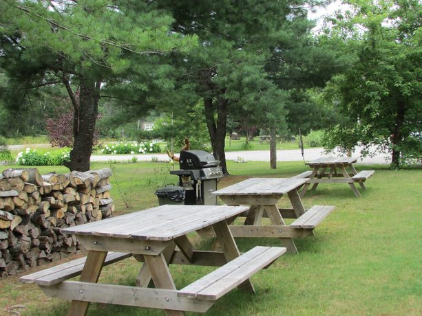 Imagen de los exteriores del Hotel Dwight Village Motel. Foto 14