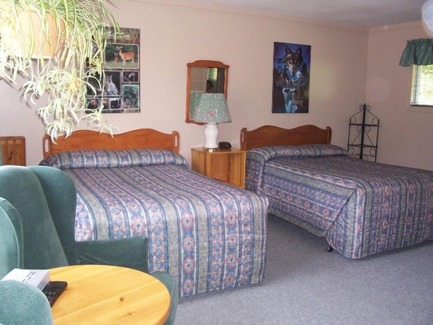 Imagen de la habitación del Hotel Dwight Village Motel. Foto 9