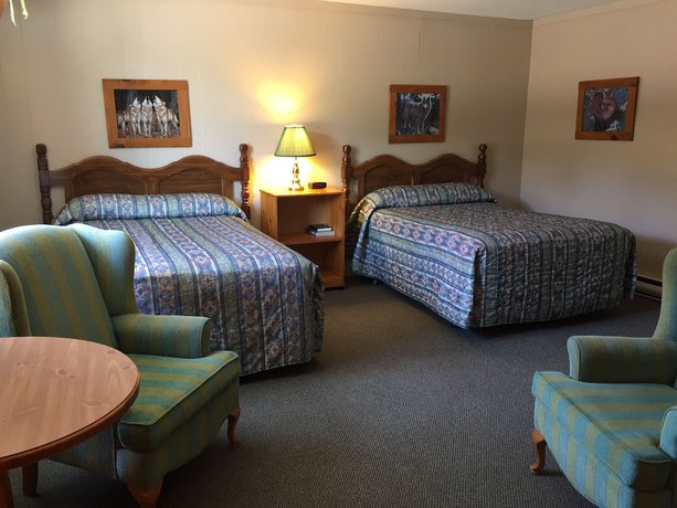 Imagen de la habitación del Hotel Dwight Village Motel. Foto 10