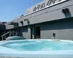 Imagen de la piscina del Hotel Dynasty, Sapporo. Foto 4