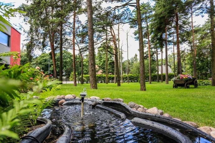 Imagen de los exteriores del Hotel Dzingel. Foto 12