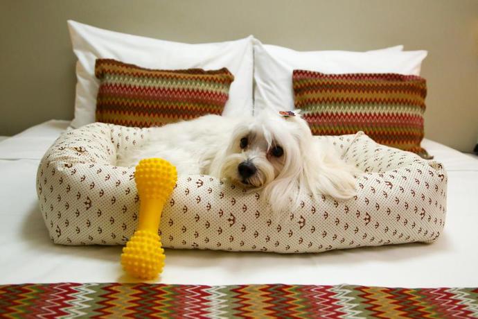 Imagen general del Hotel EASY VIT&Oacute;RIA RETA DA PENHA BY ATLANTICA. Foto 15