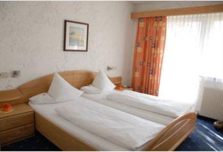 Imagen general del Hotel EDELWEISS, Gotzens . Foto 9