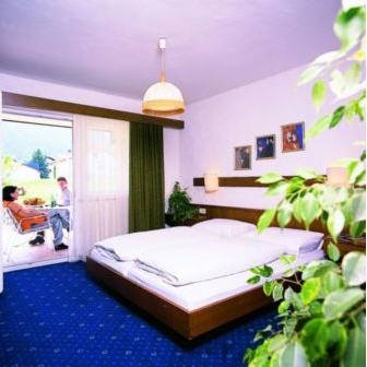 Imagen general del Hotel EDELWEISS, Gotzens . Foto 15