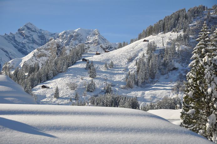 Imagen de los exteriores del Hotel EDELWEISS, MURREN. Foto 7